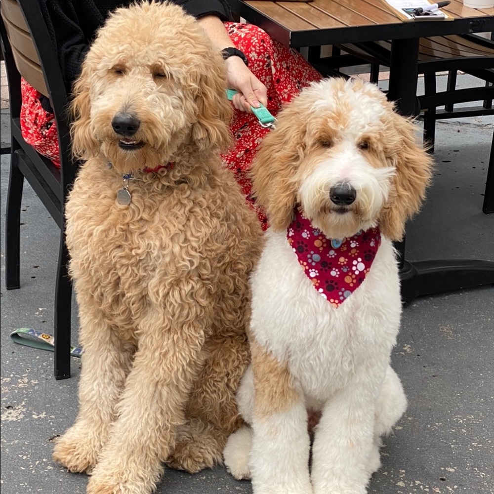 Meet your Posher, Angela